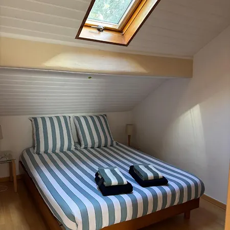 Cosy Au Cœur D Appartement